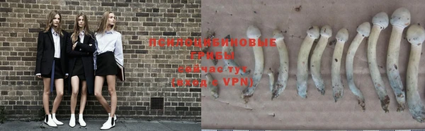 гидропоника Вяземский