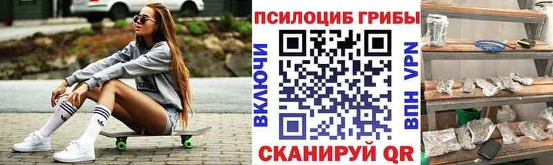 Псилоцибиновые грибы GOLDEN TEACHER Новоржев