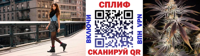 Бошки Шишки гибрид Новоржев